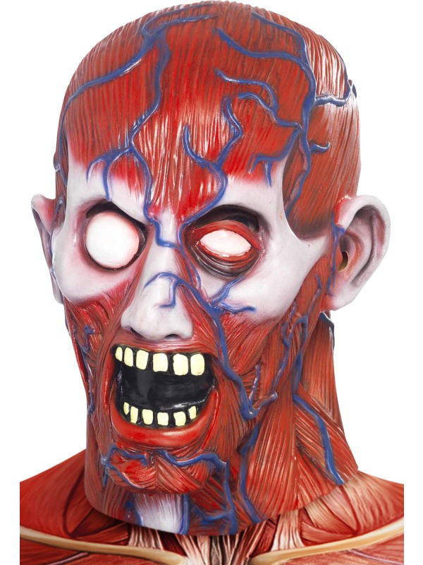 Anatomy Man Mask