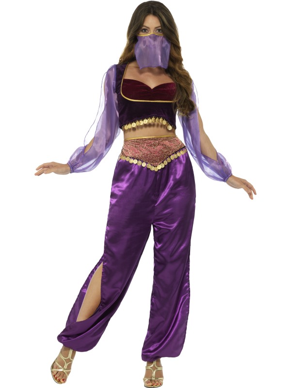 Arabian Princess Costume