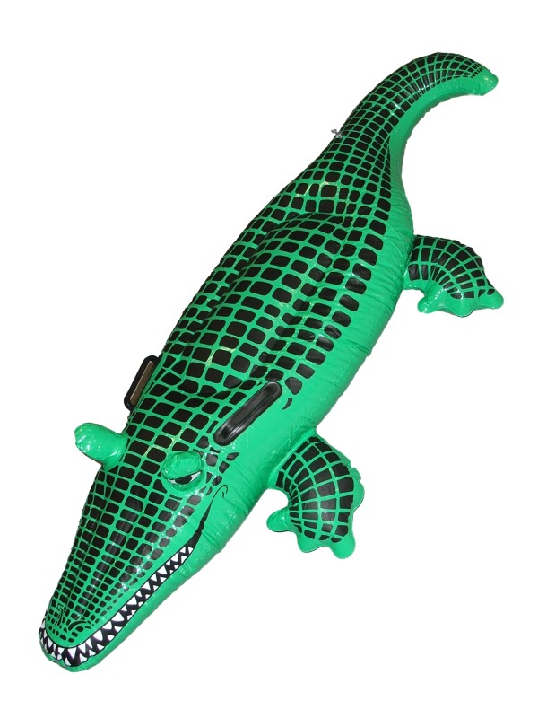 Crocodile